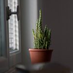 🧠 10 astuces psychologiques pour manipuler n’importe qui (et légalement)