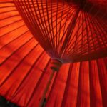 Une start-up bretonne invente le parapluie transparent anti-pluie et anti-UV